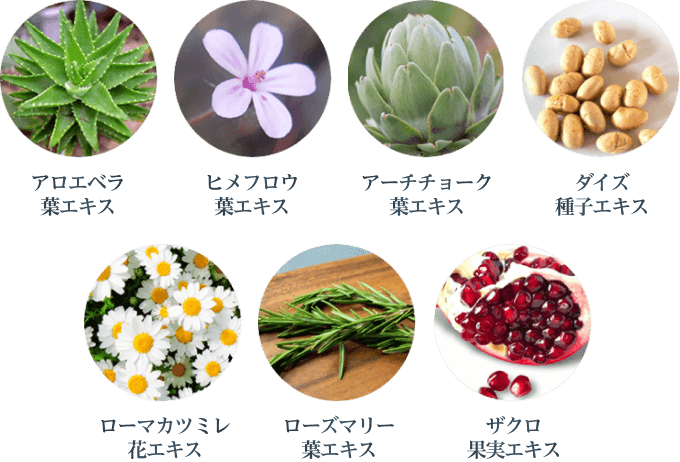 7種の植物由来成分一覧