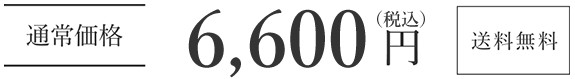 6,600円（税込）送料無料