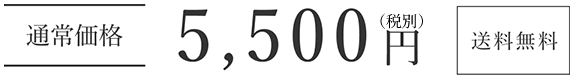 6,050円（税込）送料無料